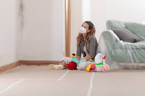 Reliable Mold Remediation contractor in Ridgewood, IL by WQB Mold Removal